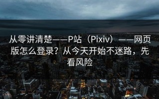从零讲清楚——P站（Pixiv）——网页版怎么登录？从今天开始不迷路，先看风险