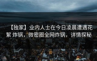 【独家】业内人士在今日凌晨遭遇花絮 炸锅，微密圈全网炸锅，详情探秘
