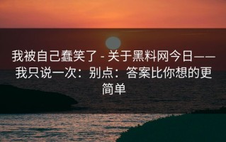 我被自己蠢笑了 - 关于黑料网今日——我只说一次：别点：答案比你想的更简单