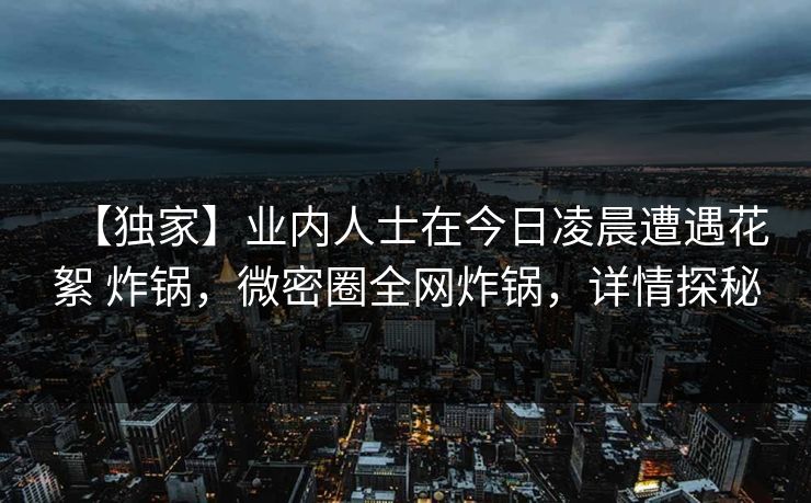 【独家】业内人士在今日凌晨遭遇花絮 炸锅，微密圈全网炸锅，详情探秘-第1张图片-麻豆传媒体验区