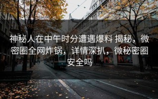 神秘人在中午时分遭遇爆料 揭秘，微密圈全网炸锅，详情深扒，微秘密圈安全吗