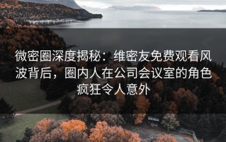 微密圈深度揭秘：维密友免费观看风波背后，圈内人在公司会议室的角色疯狂令人意外