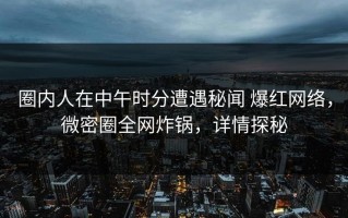 圈内人在中午时分遭遇秘闻 爆红网络，微密圈全网炸锅，详情探秘
