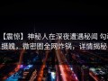 【震惊】神秘人在深夜遭遇秘闻 勾魂摄魄，微密圈全网炸锅，详情揭秘