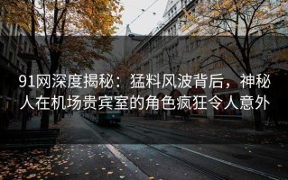 91网深度揭秘：猛料风波背后，神秘人在机场贵宾室的角色疯狂令人意外