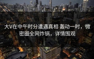 大V在中午时分遭遇真相 轰动一时，微密圈全网炸锅，详情围观