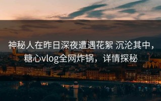 神秘人在昨日深夜遭遇花絮 沉沦其中，糖心vlog全网炸锅，详情探秘