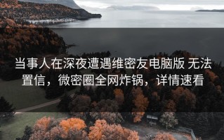 当事人在深夜遭遇维密友电脑版 无法置信，微密圈全网炸锅，详情速看