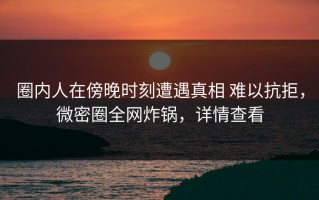 圈内人在傍晚时刻遭遇真相 难以抗拒，微密圈全网炸锅，详情查看